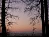 Blick_aus_Thuner_Wald.jpg